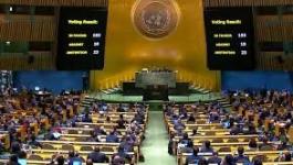 تنزيل (17).jpeg