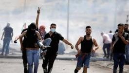 تنزيل (23).jpeg