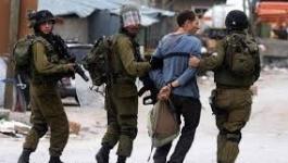 تنزيل (17).jpeg