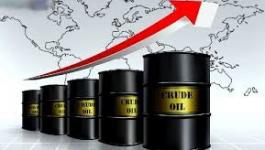 تنزيل (20).jpeg