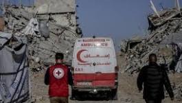 تنزيل (15).jpeg