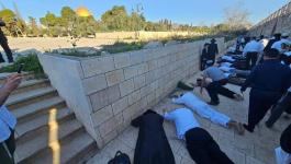 سجود ملحمي.jpg