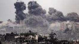 تنزيل (19).jpeg