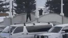 تنزيل (23).jpeg