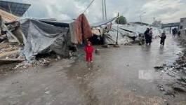 تنزيل (17).jpeg