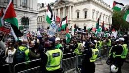 تنزيل (15).jpeg