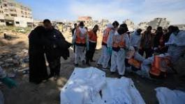 تنزيل (23).jpeg