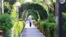 منتزه-البلدية-غزة ‫(1)‬