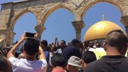 10165381170333131479733430234703