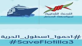 حماية أسطول الحرية