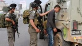 اعتقال شاب بطولكرم 