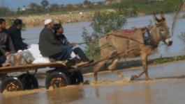 وادي غزة