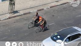 11798304_877807328966565_1517990055_n