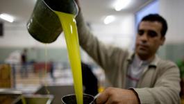 الزراعة بغزة تتحدث عن أسعار زيت الزيتون للموسم الحالي 2022