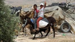 04096188462457306761042281274113