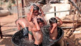 11215073_1001852079859484_8051485919859804261_n