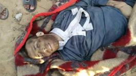 11855863_997404153615775_7314494562802711586_n