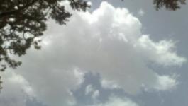 thumb (10)