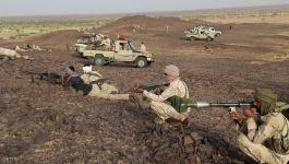 مقتل 11 مسلحا إثر كمين في مالي