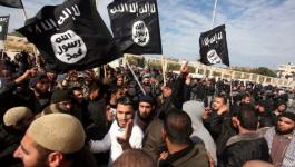 thumb-php00-jpg-22189136380038437