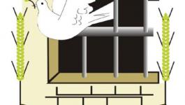 نادي-الاسير-الفلسطيني-121