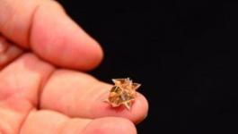 طائرة 0 استطلاع