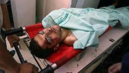 11422708_850572605011898_2057491479_n