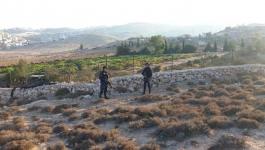 الشرطة تضبط مشتل مخدرات ضخم شمال شرق القدس