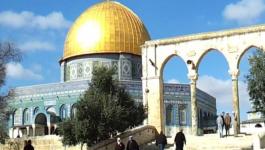 يدعو لنقل سفارات الدول العربية إلى القدس عاصمة فلسطين