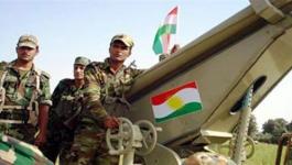 القوات الكردية.jpg