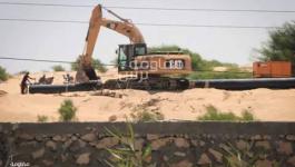 11910905_973927112651078_1052870481_n