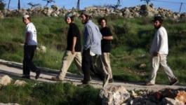 المستوطنين في خربة أرنبا في الخليل 