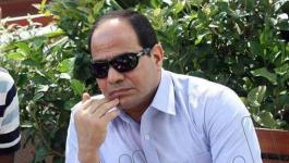 السيسي