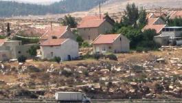 445db25b-cb13-439a-a098-fdb762d76841