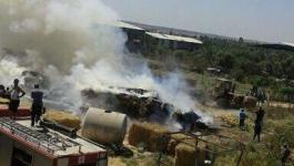 2a628a113d8dbb99e138793b45069458