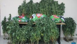 palpolice_08142858327162367036237038358303