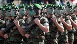 الجيش الجزائري 