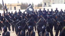 11657420_867199010013945_1644848108_n