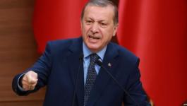 أردوغان: سلطات 