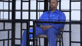 سيف الإسلام القذافي 