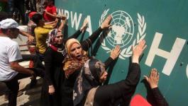 مظاهرات-ضد-الاونروا-غزة ‫(232136748)‬ ‫‬