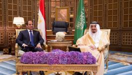 الملك سلمان والسيسي