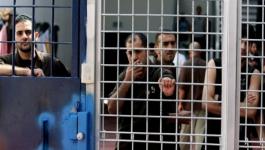 الاحتلال يصدر أوامر اعتقال إداري بحقّ 23 أسيرا