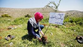 نشطاء ومتضامنون يزرعون أشتالا في أراضي الخضر إحياء ليوم الأرض.jpg