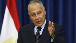 أبو الغيظ: الدول العربية تخوض معركة حقيقة لتبيت حقوق الفلسطينين