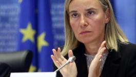 الاتحاد الأوروبي: متمسكون بحل الدولتين واتفاقية أوسلو
