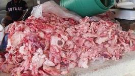 الضابطة الجمركية تتلف 42كغم لحم حبش فاسد بطولكرم.jpg
