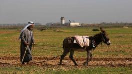 الصليب الأحمر: رش المبيدات على حدود غزة مقلق