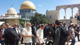 مذكرة احتجاج للخارجية الإسرائيلية لوقف اقتحامات المستوطنين للأقصى