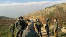 الاحتلال يقرر الاستيلاء على أراض في عزون شرق قلقيلية